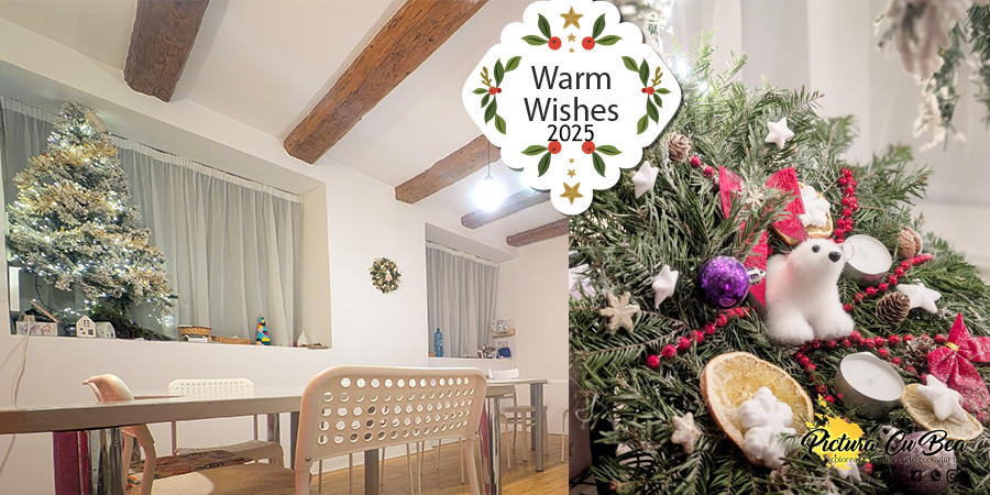 Sărbători fericite!🎨✨